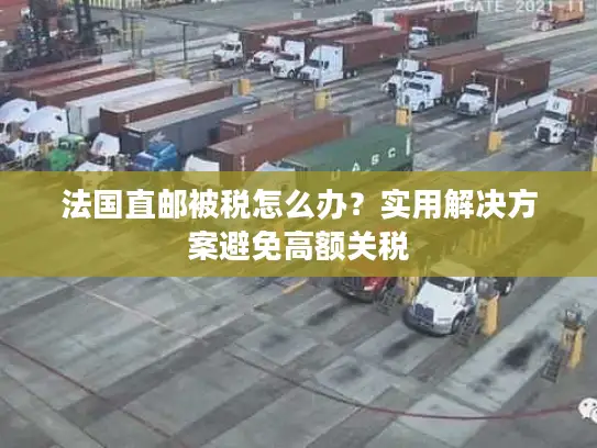 法国直邮被税怎么办？实用解决方案避免高额关税