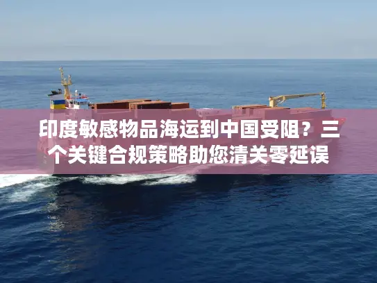 印度敏感物品海运到中国受阻？三个关键合规策略助您清关零延误
