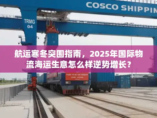 航运寒冬突围指南，2025年国际物流海运生意怎么样逆势增长？