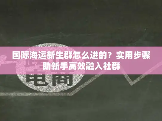 国际海运新生群怎么进的？实用步骤助新手高效融入社群