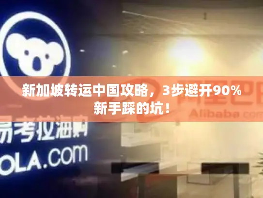 新加坡转运中国攻略,3步避开90%新手踩的坑! 新加坡转运中国攻略,3步避开90%新手踩的坑!