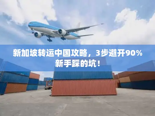 新加坡转运中国攻略,3步避开90%新手踩的坑! 新加坡转运中国攻略,3步避开90%新手踩的坑!