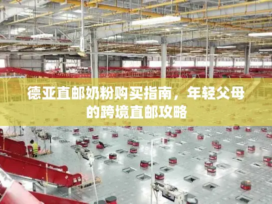 德亚直邮奶粉购买指南，年轻父母的跨境直邮攻略