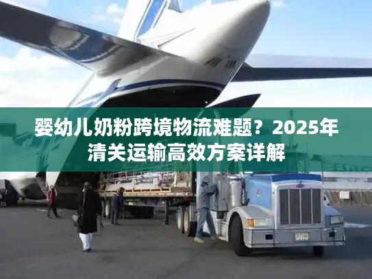 婴幼儿奶粉跨境物流难题？2025年清关运输高效方案详解