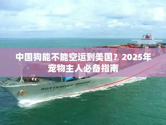 中国狗能不能空运到美国？2025年宠物主人必备指南
