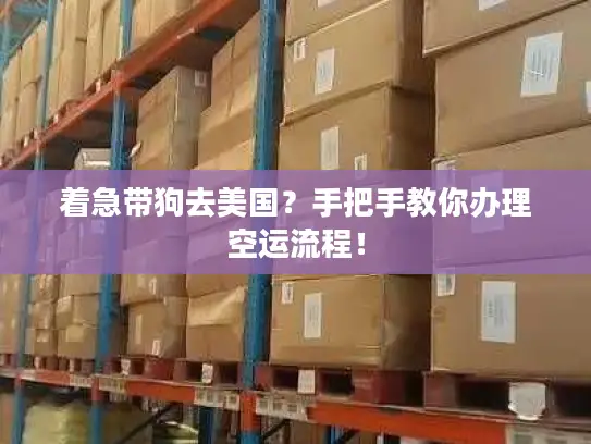 着急带狗去美国？手把手教你办理空运流程！