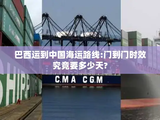 巴西运到中国海运路线:门到门时效究竟要多少天?