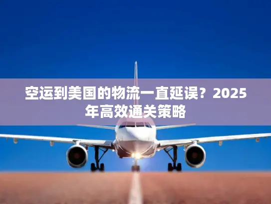 空运到美国的物流一直延误？2025年高效通关策略
