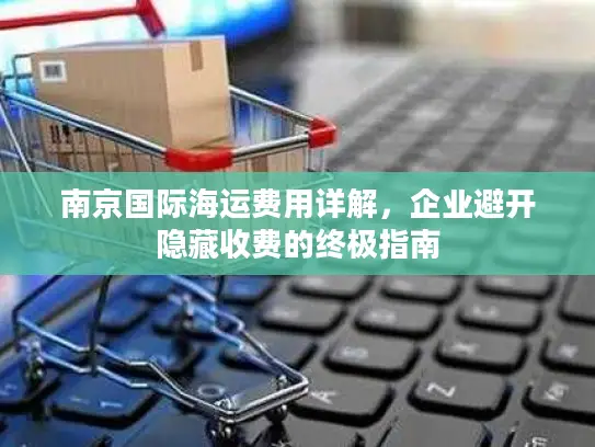 南京国际海运费用详解，企业避开隐藏收费的终极指南