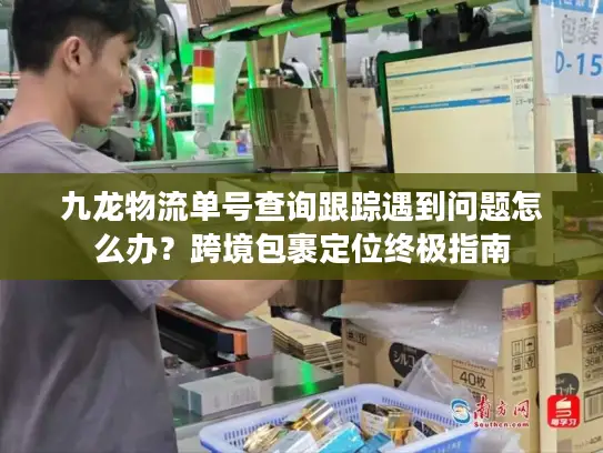 九龙物流单号查询跟踪遇到问题怎么办？跨境包裹定位终极指南