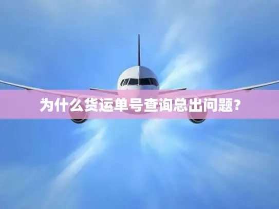 为什么货运单号查询总出问题？