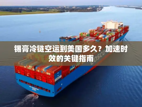 锡膏冷链空运到美国多久？加速时效的关键指南