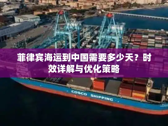 菲律宾海运到中国需要多少天?时效详解与优化策略 菲律宾海运到中国需要多少天?时效详解与优化策略