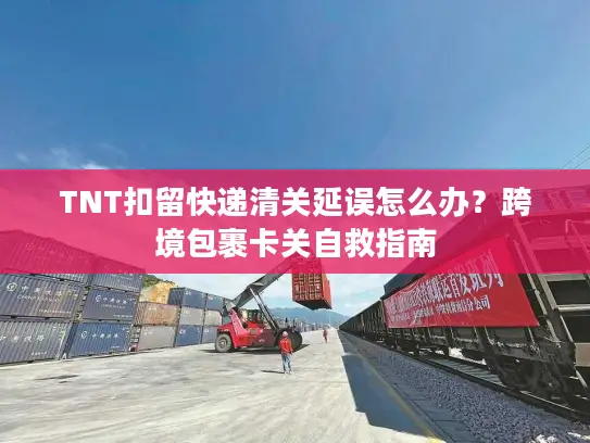 TNT扣留快递清关延误怎么办？跨境包裹卡关自救指南