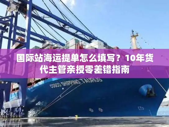 国际站海运提单怎么填写？10年货代主管亲授零差错指南