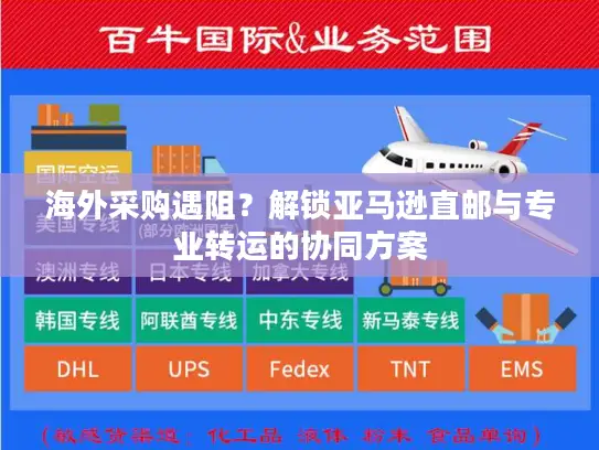 海外采购遇阻？解锁亚马逊直邮与专业转运的协同方案