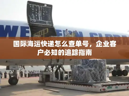 国际海运快递怎么查单号，企业客户必知的追踪指南