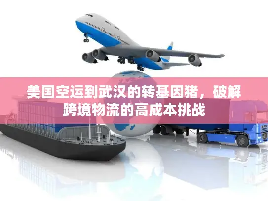 美国空运到武汉的转基因猪，破解跨境物流的高成本挑战