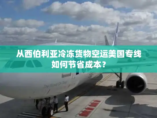 从西伯利亚冷冻货物空运美国专线如何节省成本？