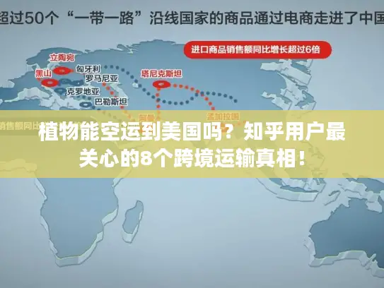 植物能空运到美国吗？知乎用户最关心的8个跨境运输真相！