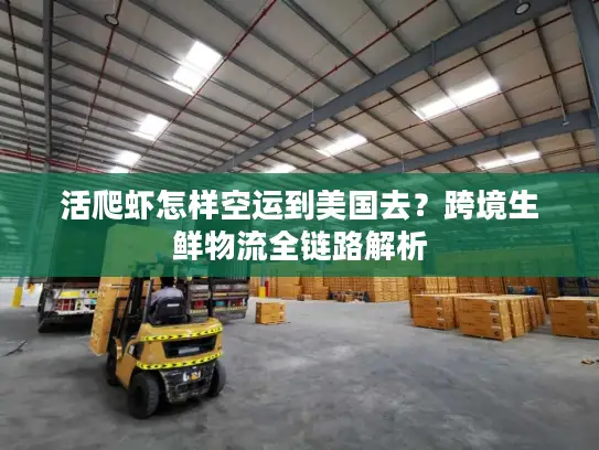 活爬虾怎样空运到美国去？跨境生鲜物流全链路解析