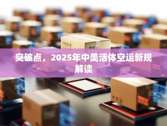 突破点，2025年中美活体空运新规解读