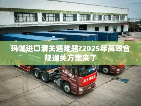 玛咖进口清关遇难题?2025年高效合规通关方案来了