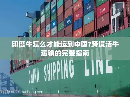 印度牛怎么才能运到中国?跨境活牛运输的完整指南
