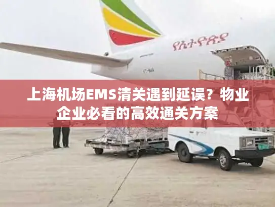 上海机场EMS清关遇到延误？物业企业必看的高效通关方案