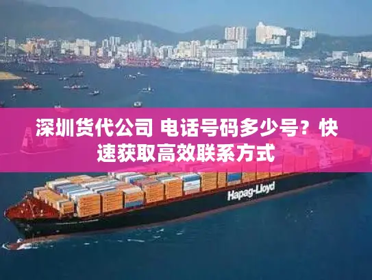深圳货代公司 电话号码多少号？快速获取高效联系方式