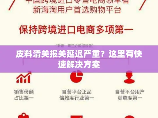 皮料清关报关延迟严重？这里有快速解决方案