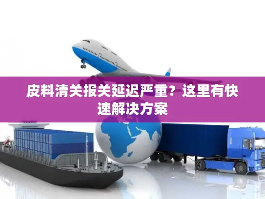 皮料清关报关延迟严重？这里有快速解决方案