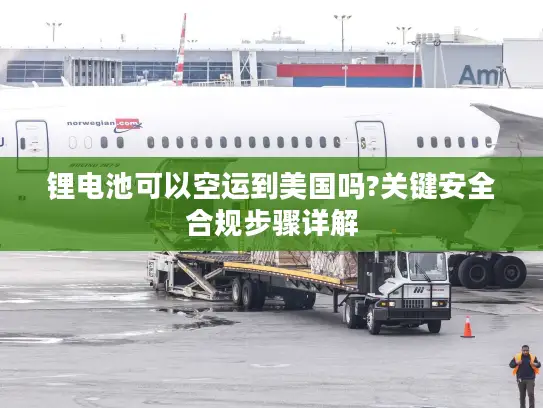 锂电池可以空运到美国吗?关键安全合规步骤详解