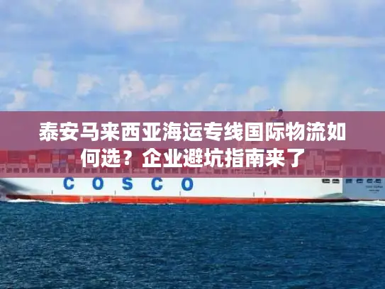 泰安马来西亚海运专线国际物流如何选？企业避坑指南来了