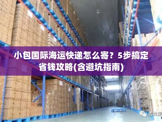 小包国际海运快递怎么寄？5步搞定省钱攻略(含避坑指南)