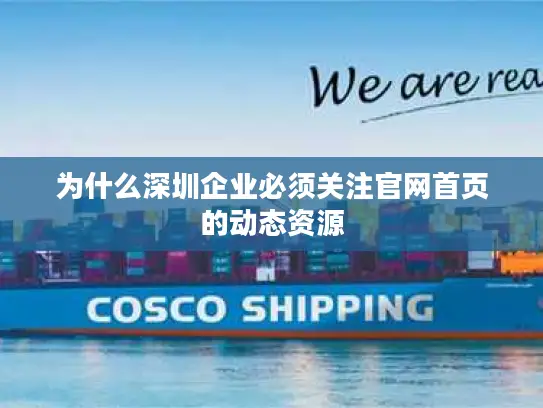 为什么深圳企业必须关注官网首页的动态资源