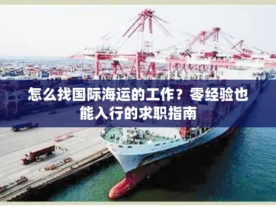 怎么找国际海运的工作？零经验也能入行的求职指南