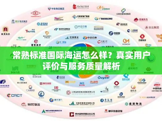 常熟标准国际海运怎么样？真实用户评价与服务质量解析
