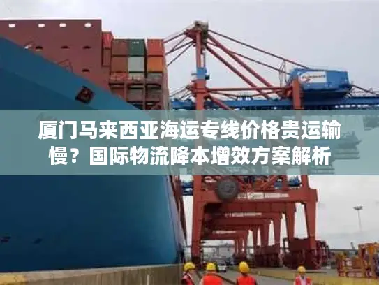 厦门马来西亚海运专线价格贵运输慢？国际物流降本增效方案解析