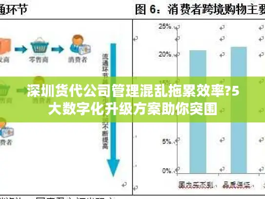 深圳货代公司管理混乱拖累效率?5大数字化升级方案助你突围