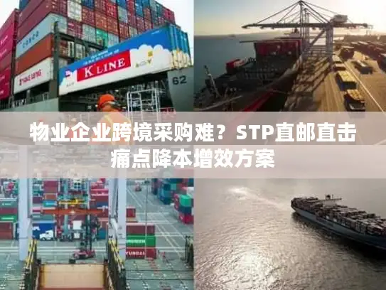 物业企业跨境采购难？STP直邮直击痛点降本增效方案