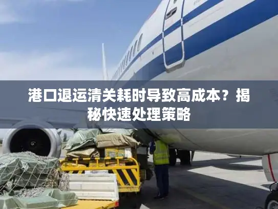 港口退运清关耗时导致高成本？揭秘快速处理策略