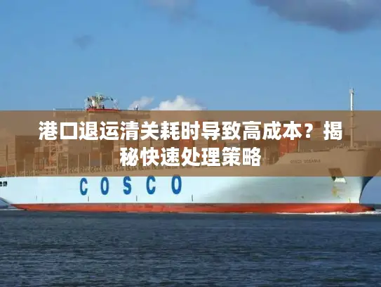 港口退运清关耗时导致高成本？揭秘快速处理策略