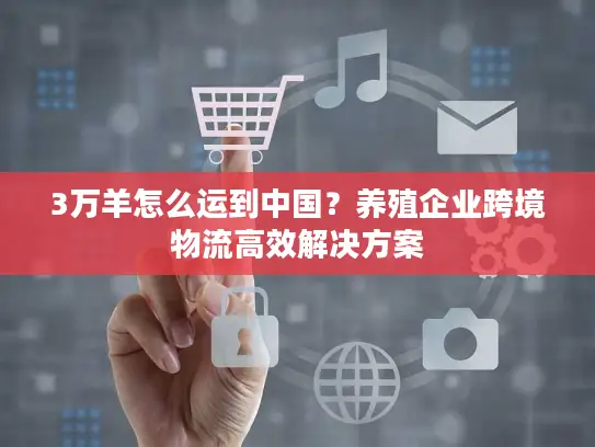 3万羊怎么运到中国？养殖企业跨境物流高效解决方案