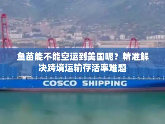 鱼苗能不能空运到美国呢？精准解决跨境运输存活率难题
