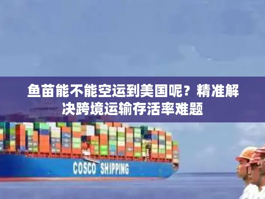 鱼苗能不能空运到美国呢？精准解决跨境运输存活率难题
