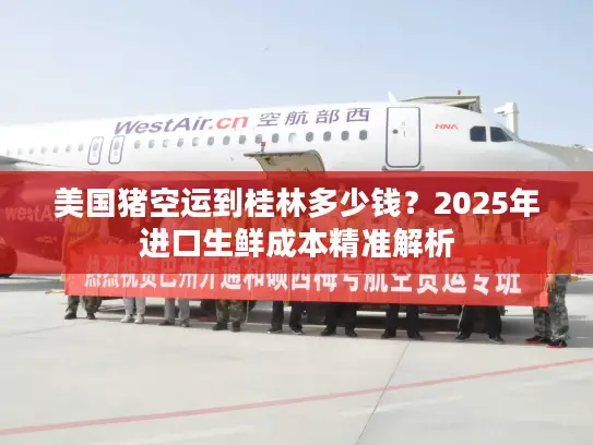 美国猪空运到桂林多少钱？2025年进口生鲜成本精准解析