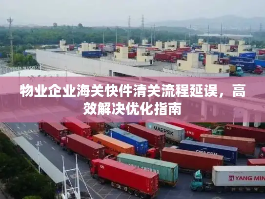 物业企业海关快件清关流程延误，高效解决优化指南