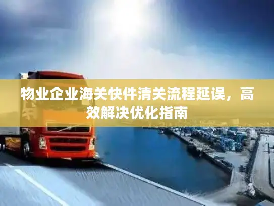 物业企业海关快件清关流程延误，高效解决优化指南