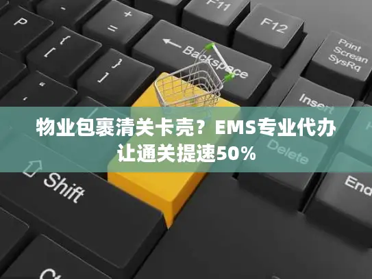 物业包裹清关卡壳？EMS专业代办让通关提速50%